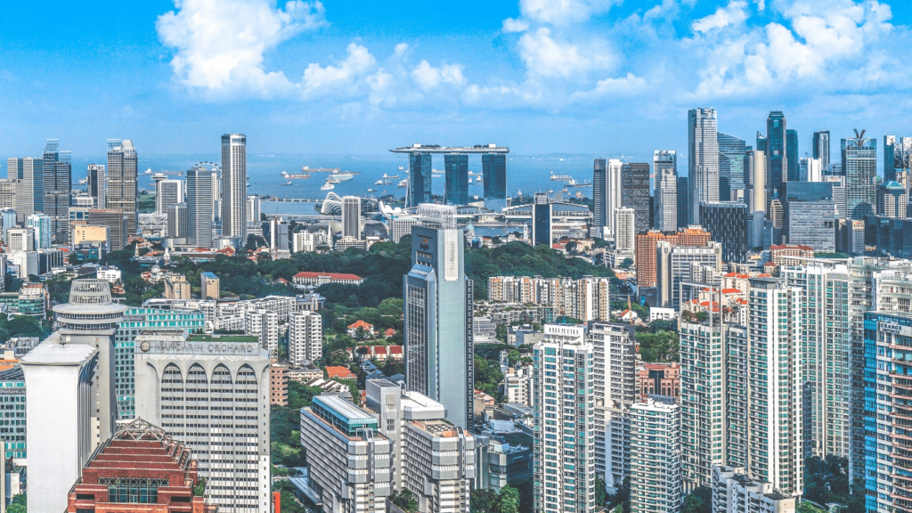 Commercial Buyers Agent